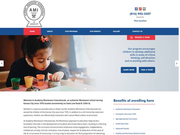 Academy Montessori Internationale