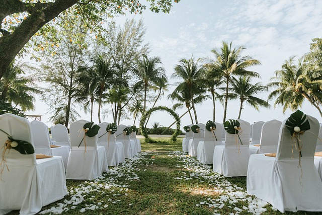 Image of a tropical destination wedding on a beach