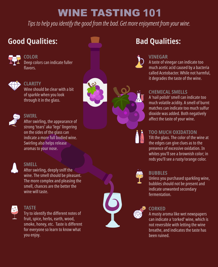 Wine Tasting Tips Infographic
